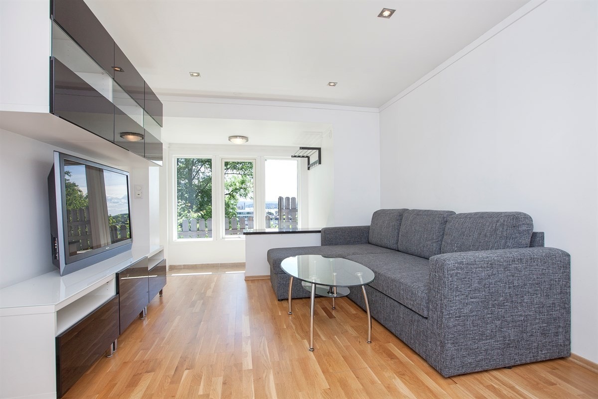 Stuen har utsikt over Sandvika sentrum. Den er møblert med sofa som enkelt kan gjøre om til dobbeltseng for eventuelle gjester. (NB! TV og stuebord medfølger ikke) Galleribilde