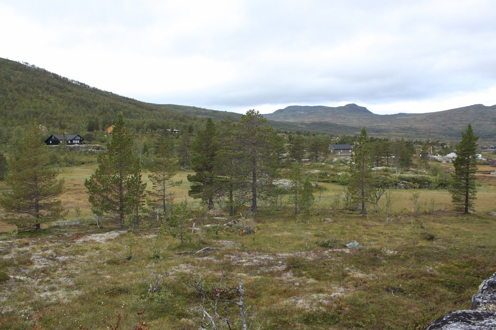 Utsikt tomt 9 Galleribilde