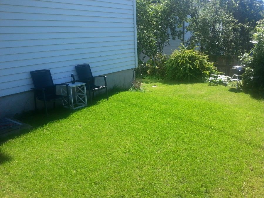 Solrik hage Galleribilde