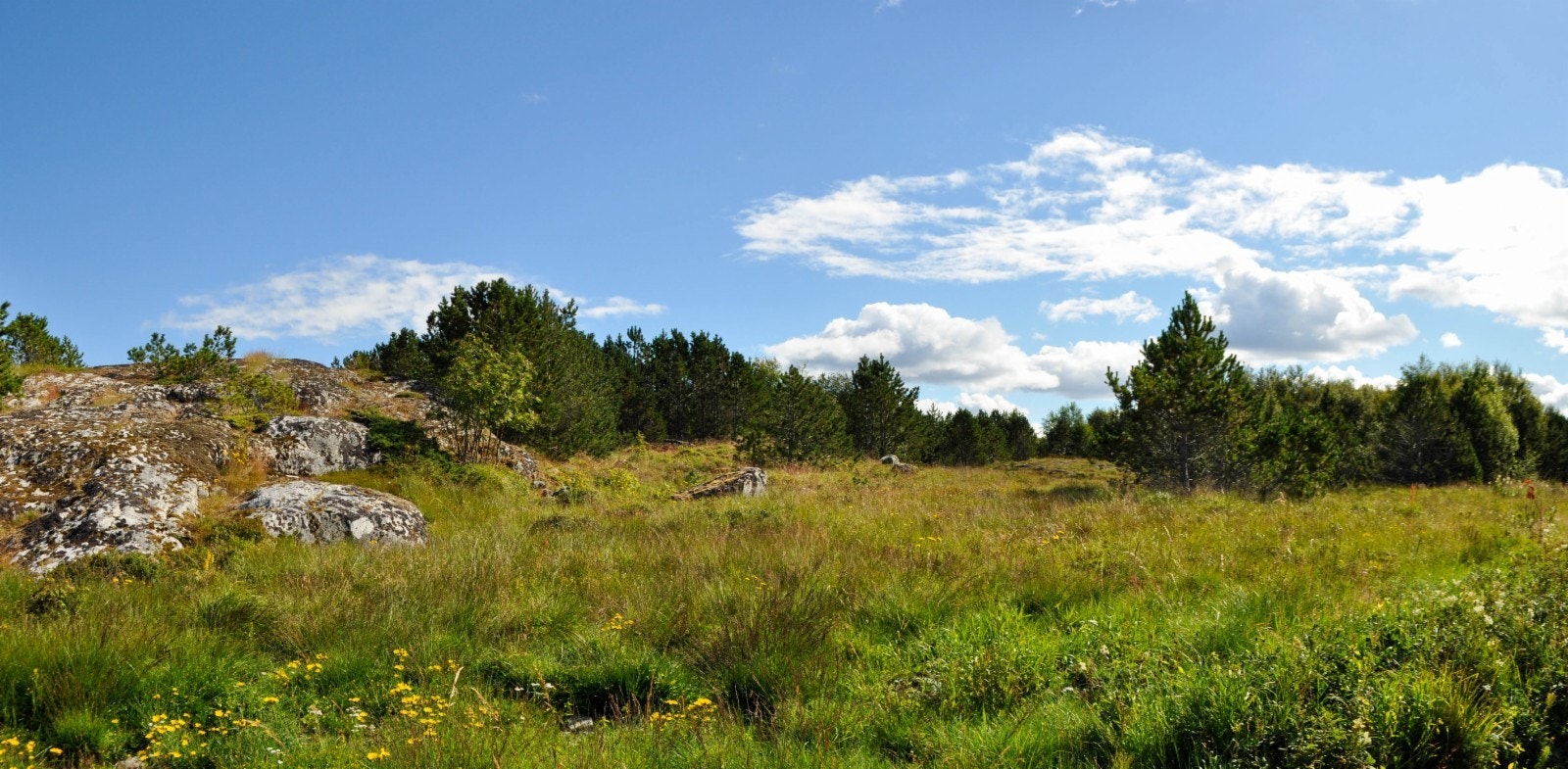 Her ser vi mot øst og inn mot tomt 6 på bakkenivå Galleribilde