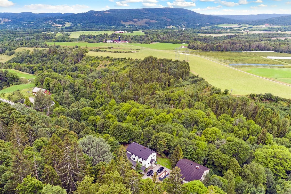 Områdebilde Galleribilde