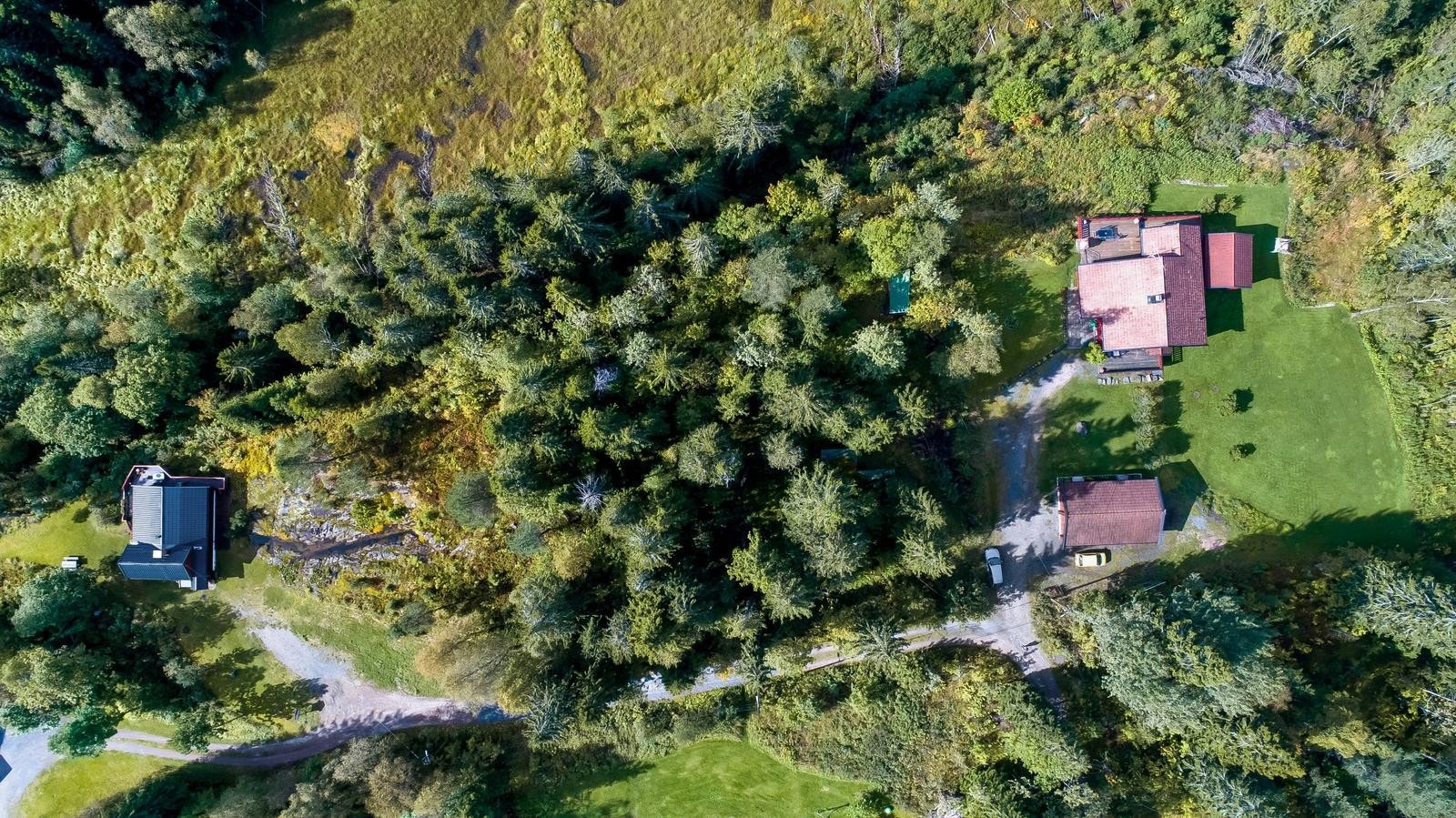 I dag består eiendommen av en frodig tomt med skogterreng med en liten hytte og uthus Galleribilde