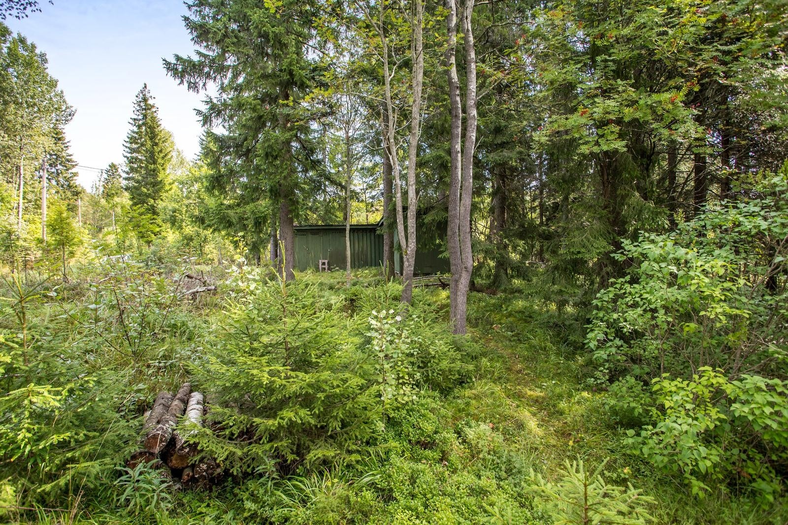 Solrik, høytliggende eiendom med stort potensial! Galleribilde