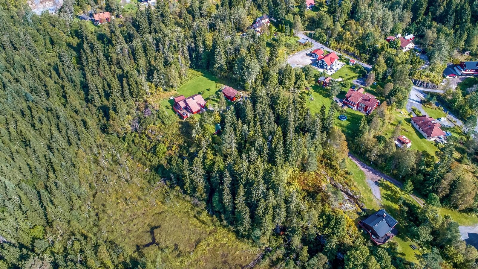 Dronefoto av eiendommen og området rundt. Galleribilde