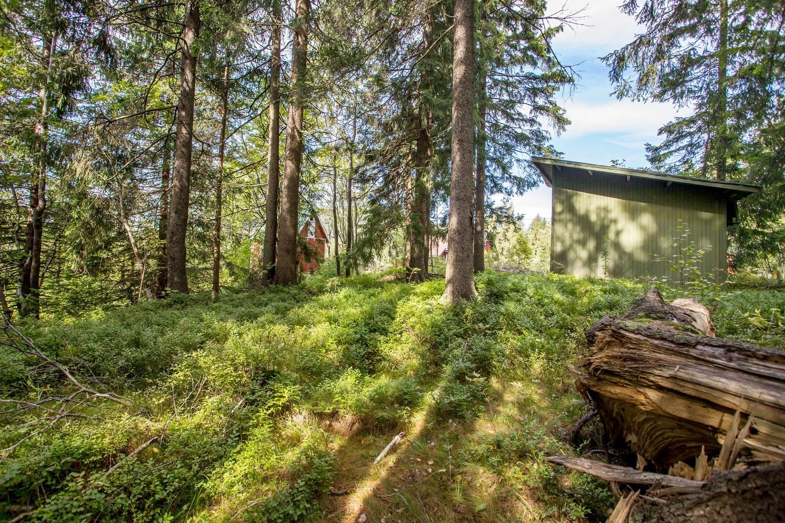 Uthus med utedo, vedskjul og lagerrom. Galleribilde