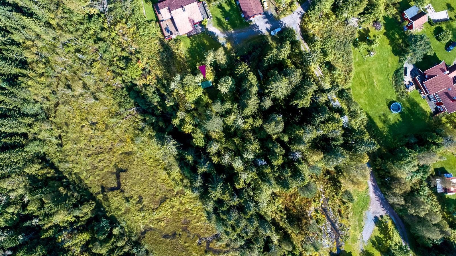 Lilla pil peker på hyttetaket. Galleribilde