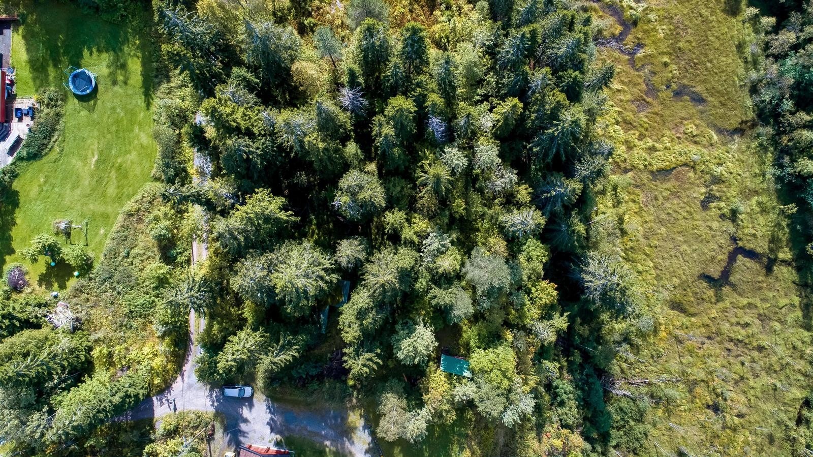 Det er helårsboliger på 3 sider av eiendommen Galleribilde