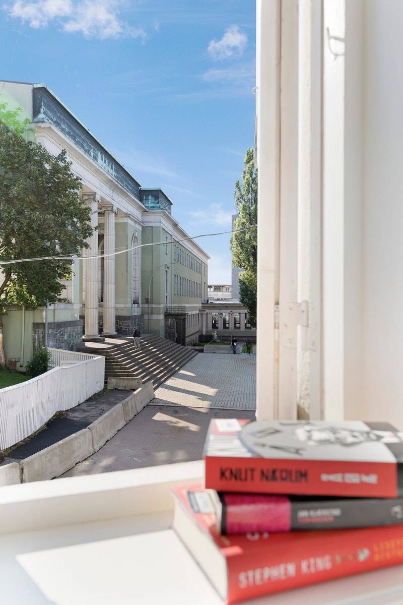 Hyggelig utsyn fra stuen mot Deichmanske bibliotek og Trefoldighetskirken med minimalt med innsyn gjør det til en skjermet og usjenert leilighet. Galleribilde