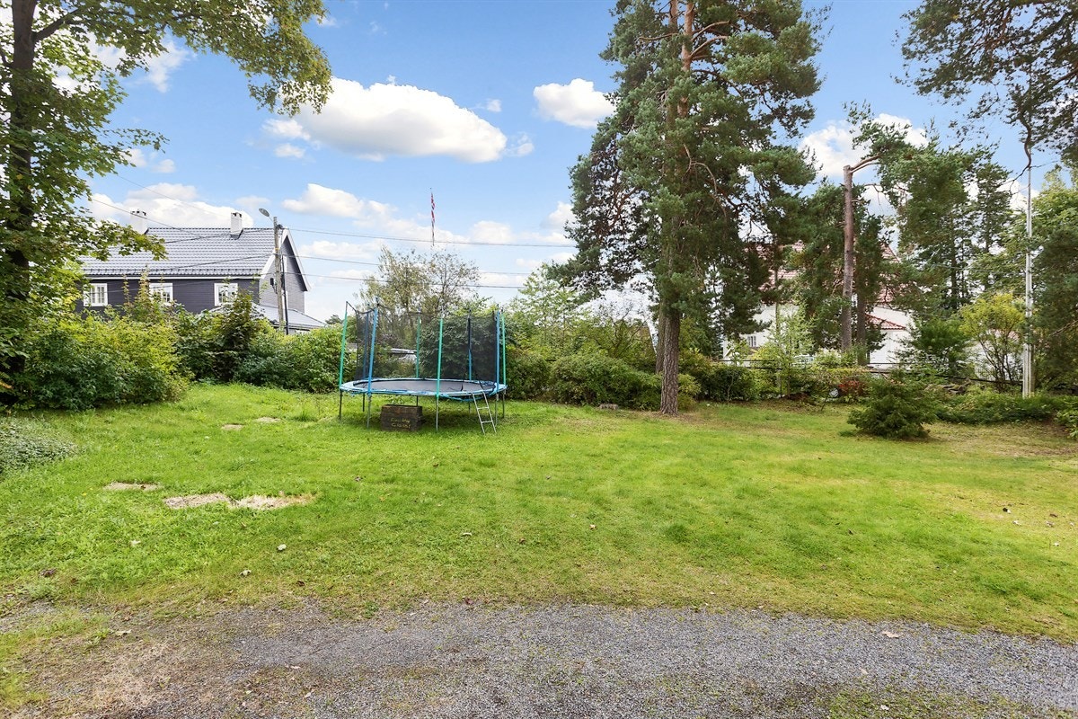 Stor tomt på 1,5 mål Galleribilde