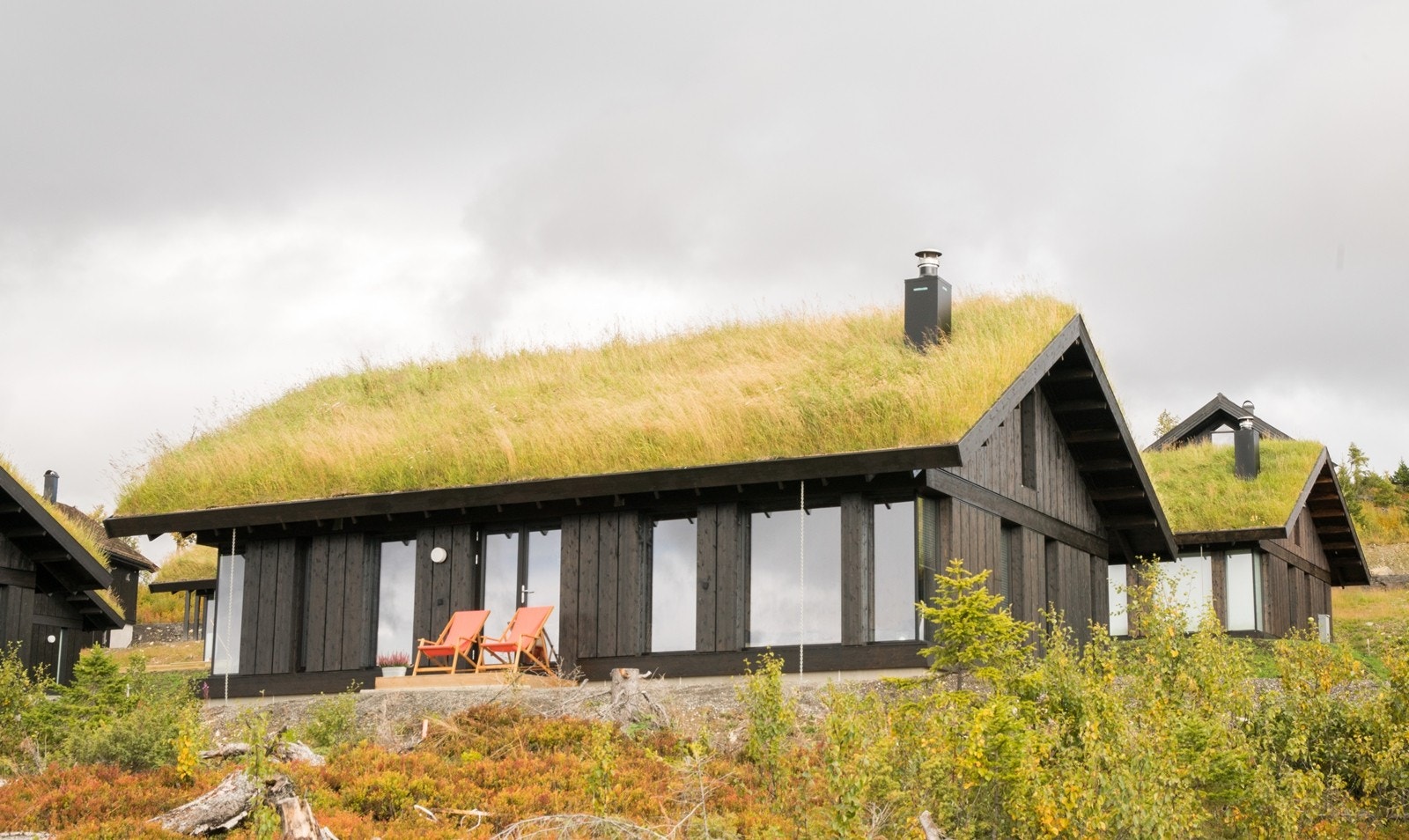 Velkommen til Moseteråsen! Galleribilde