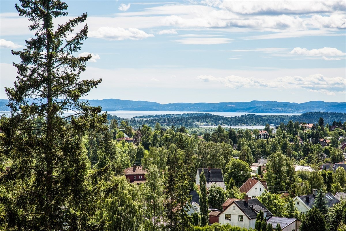 Nydelig utsikt Galleribilde