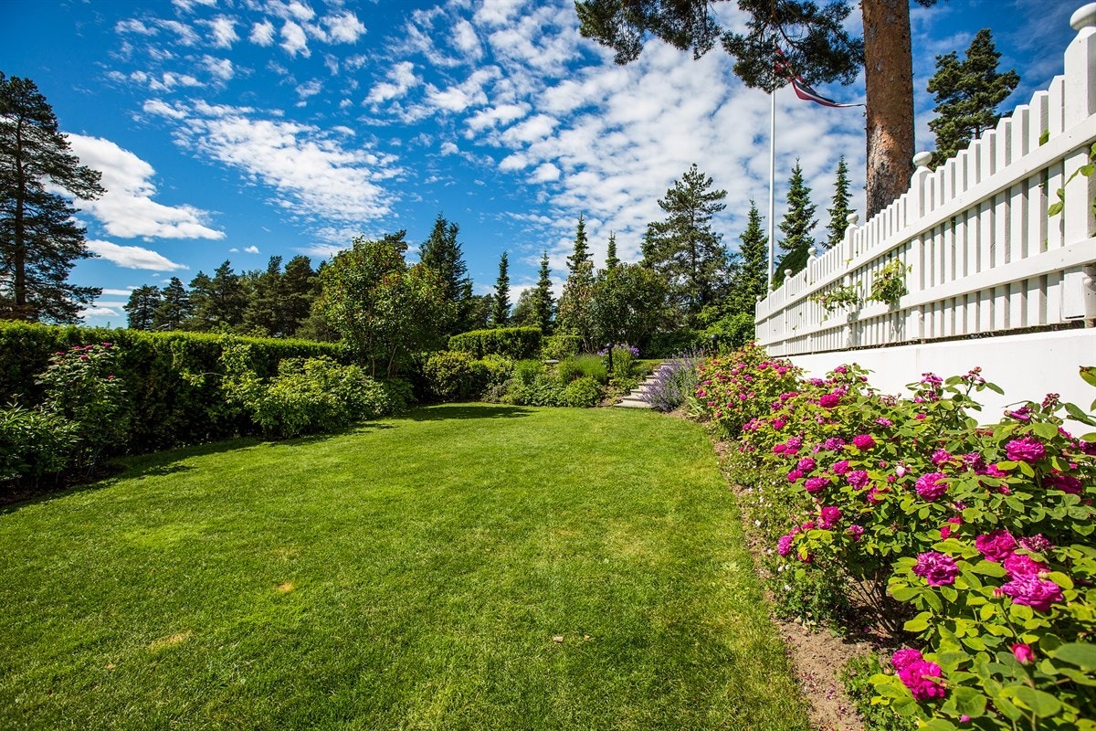 Hage - fine muligheter for etablering av basseng Galleribilde