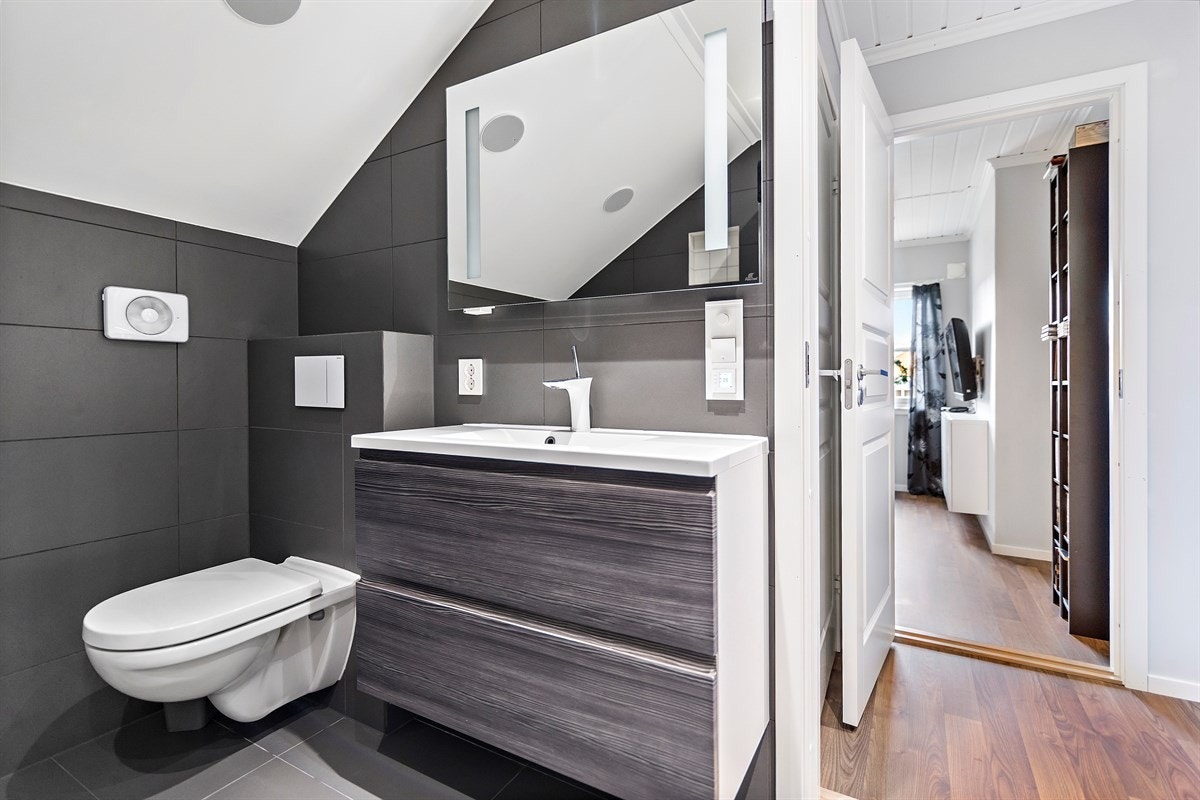 Toalett Galleribilde