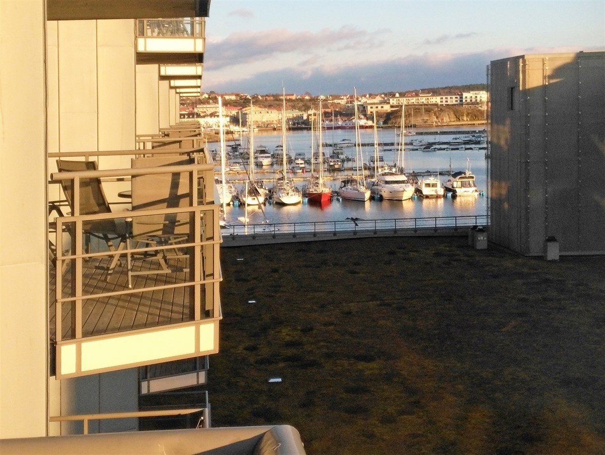 Ettermiddagsstemning fra verandaen. Galleribilde