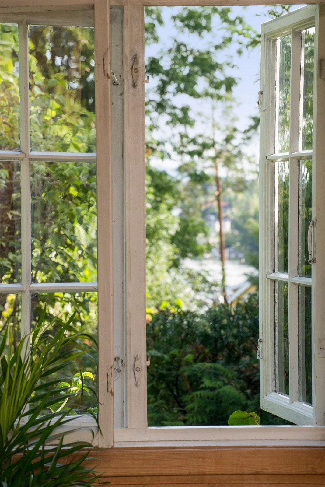 Stuevindu med utsikt mot sjøen Galleribilde