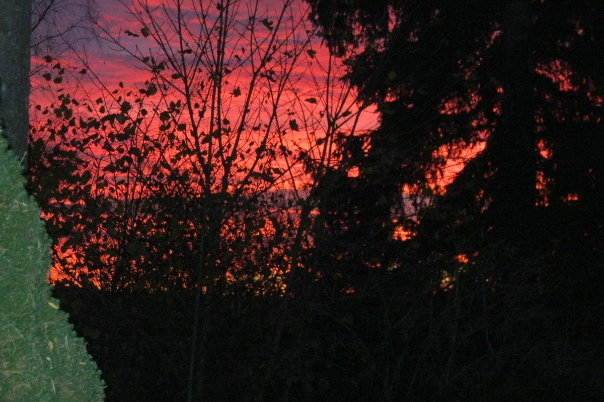 Koselig bilde av solnedgang. Galleribilde