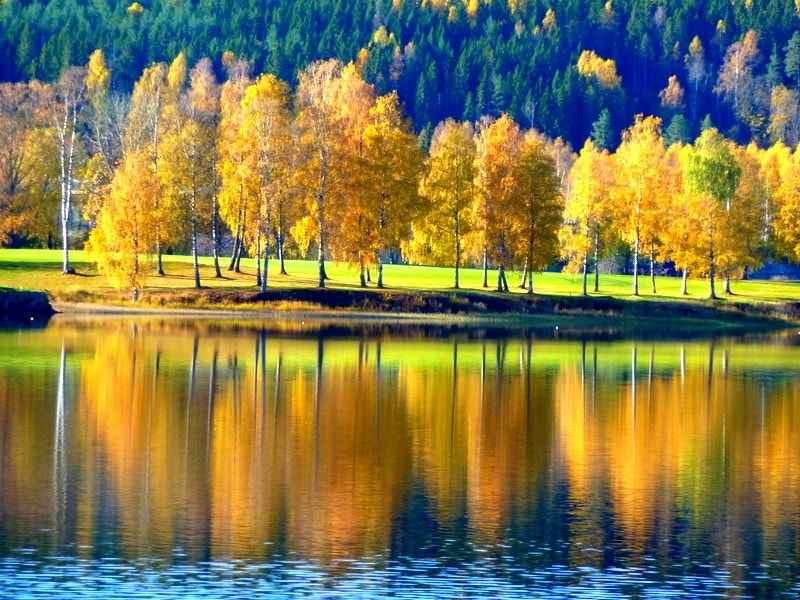 Selgers egne bilder tatt i nærområdet Galleribilde