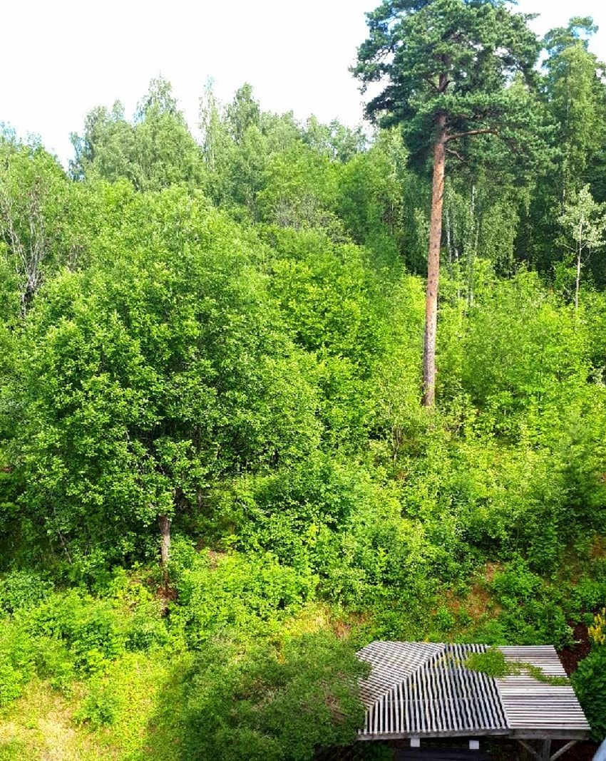 Selgers egne bilder tatt i nærområdet Galleribilde