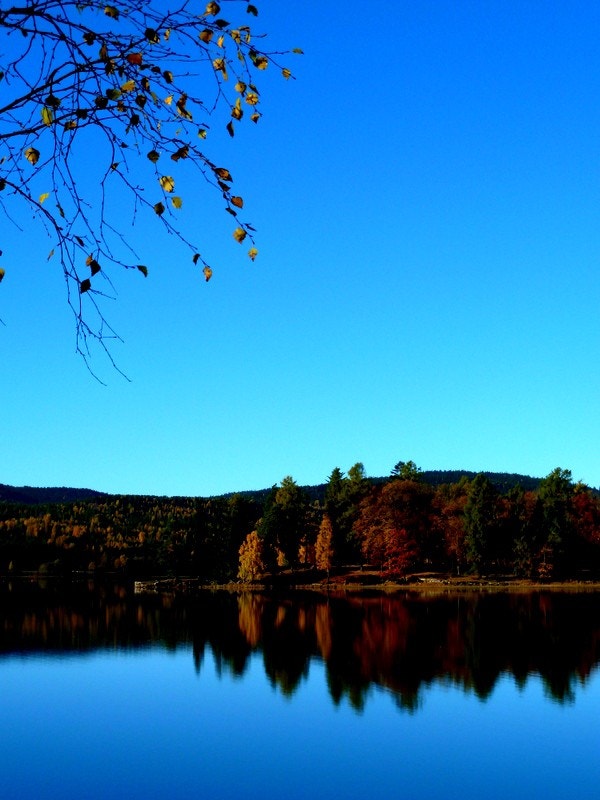 Selgers egne bilder tatt i nærområdet Galleribilde