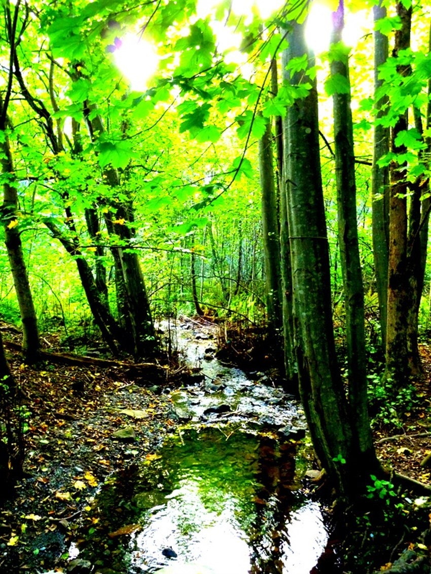 Selgers egne bilder tatt i nærområdet Galleribilde