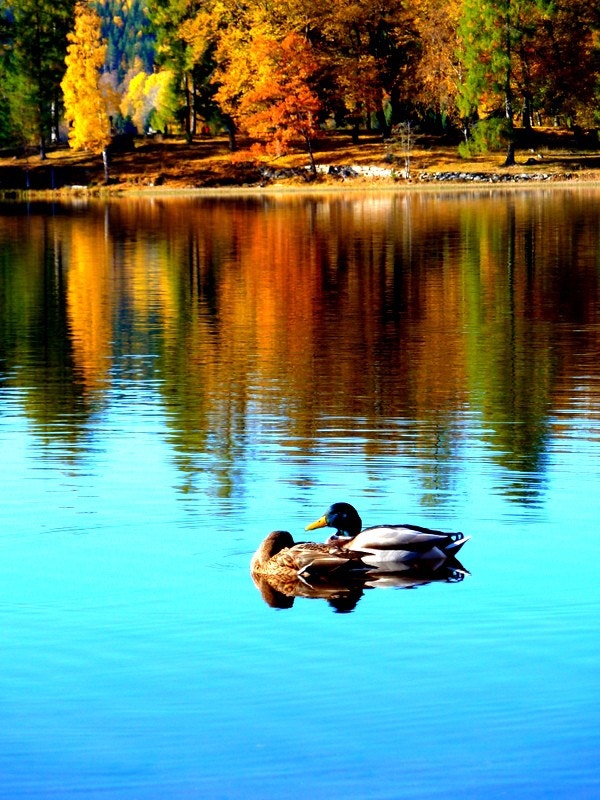 Selgers egne bilder tatt i nærområdet Galleribilde