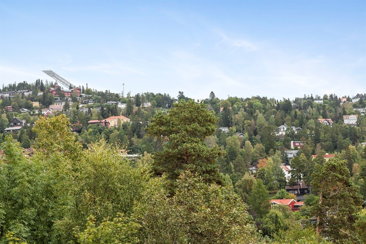 Utsikt også mot Holmenkollen. Galleribilde