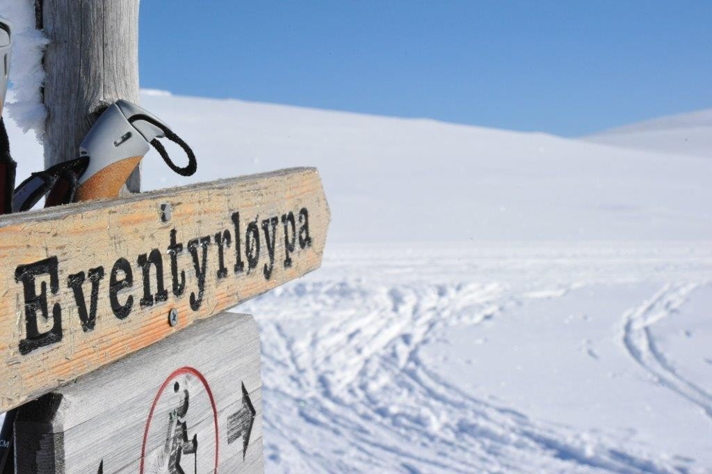 Merkede løyper Galleribilde