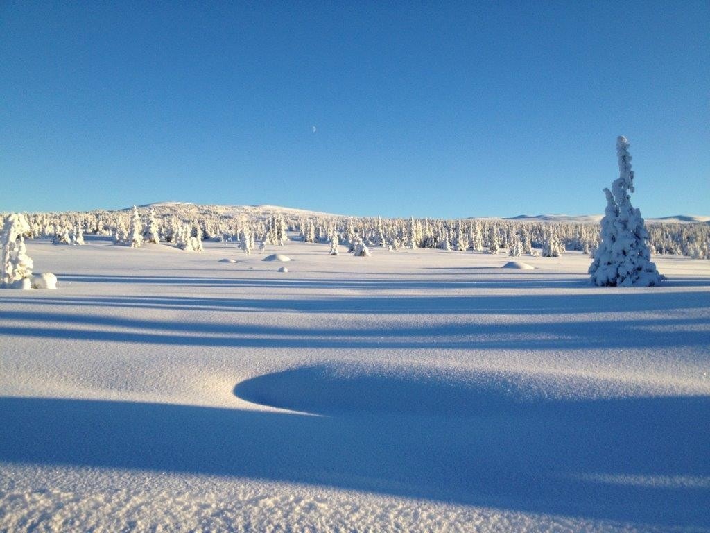 Nydelig vinterterreng Galleribilde
