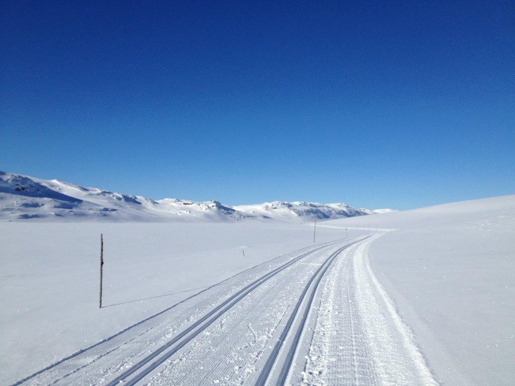 Skiløyper går ca 100 m fra setertunet og innbyr til milevis av muligheter Galleribilde