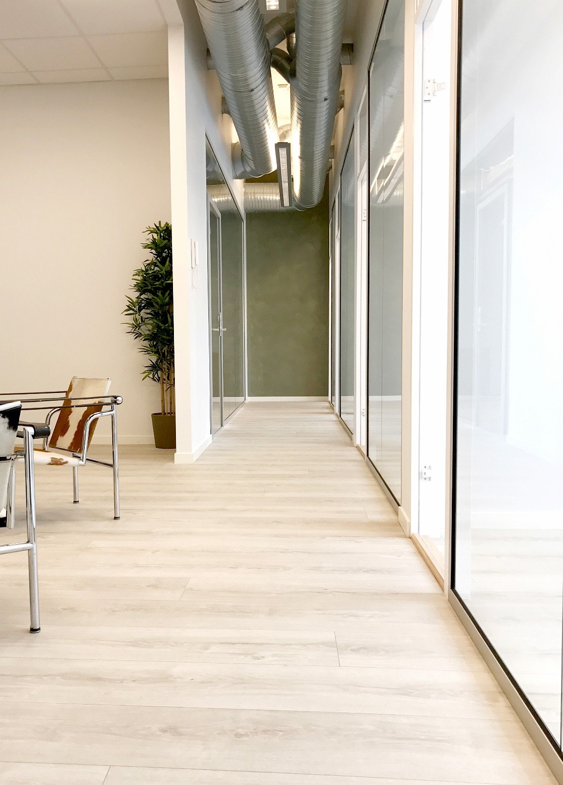 Alle kontorer er har glassfronter på 2,65m! Dekor blir satt opp. Galleribilde