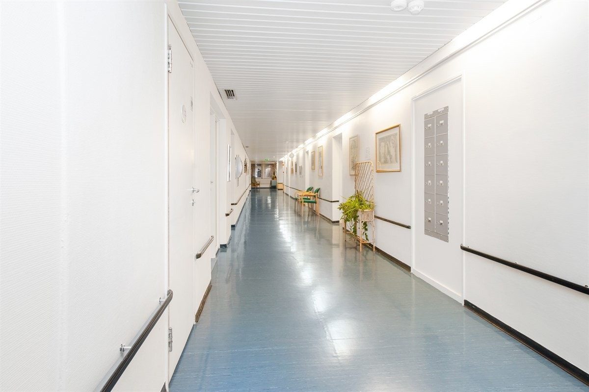 Annet Galleribilde