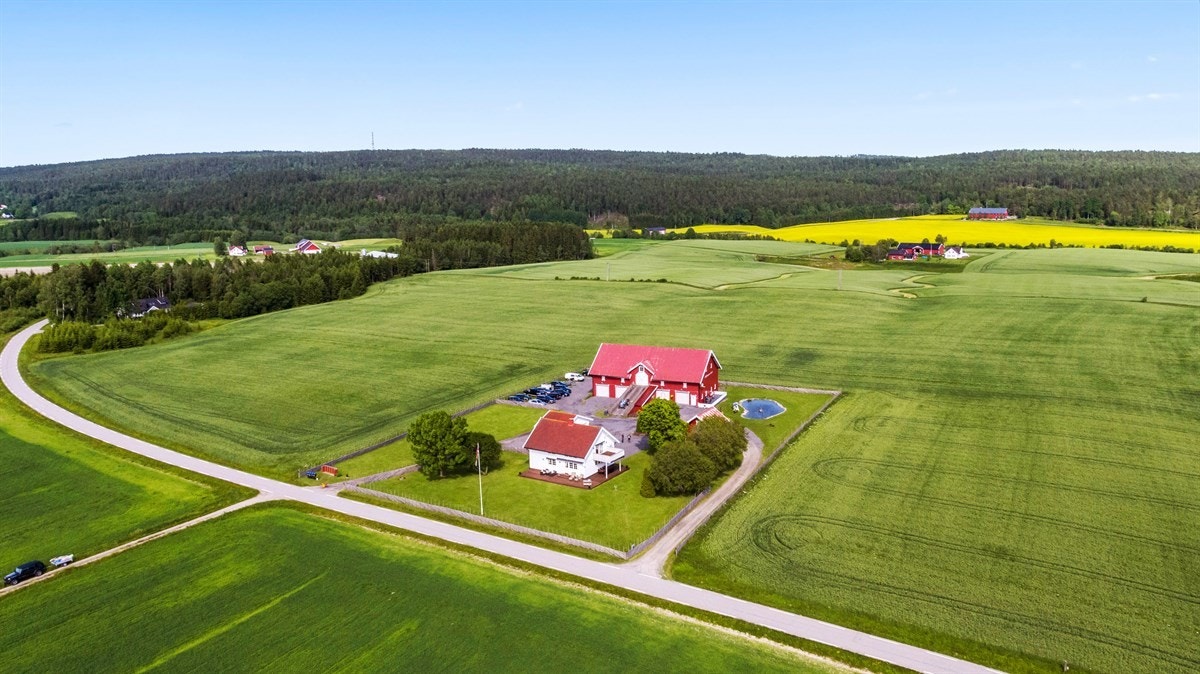 Lite som skjermer for sola. Galleribilde