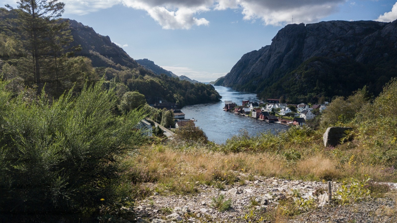 Utsikt fra feltet Galleribilde