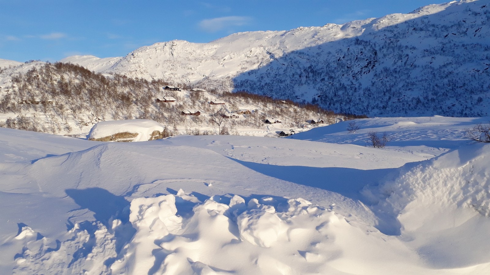 Bjørkelia bada i vintersol Galleribilde