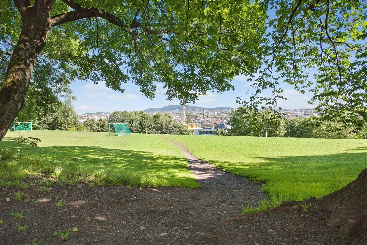 Telthusbakken-park. Galleribilde