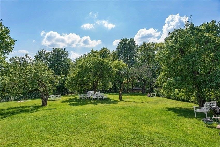 Prisbelønnet hage i bakgården Galleribilde