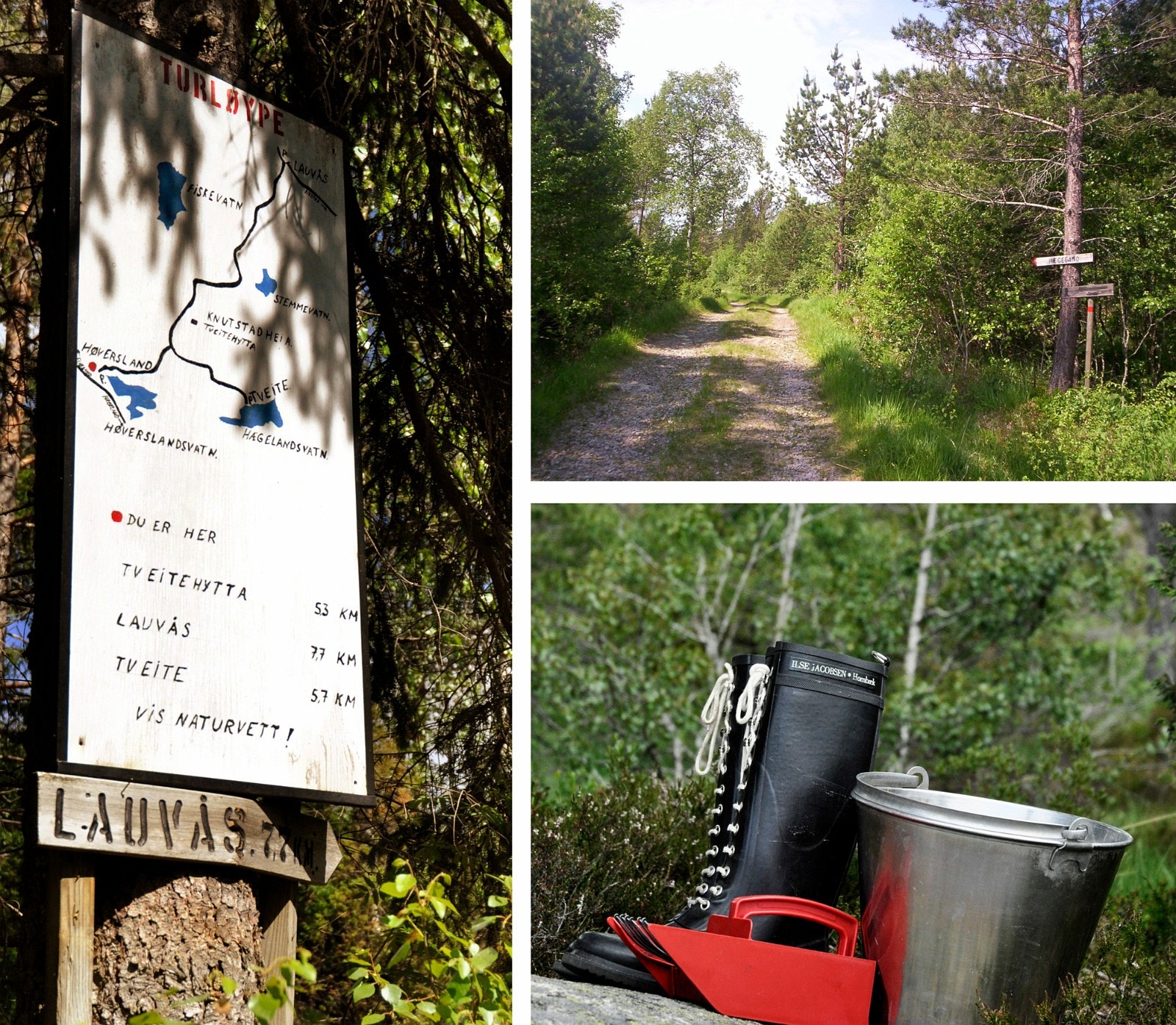 Turløyper Galleribilde