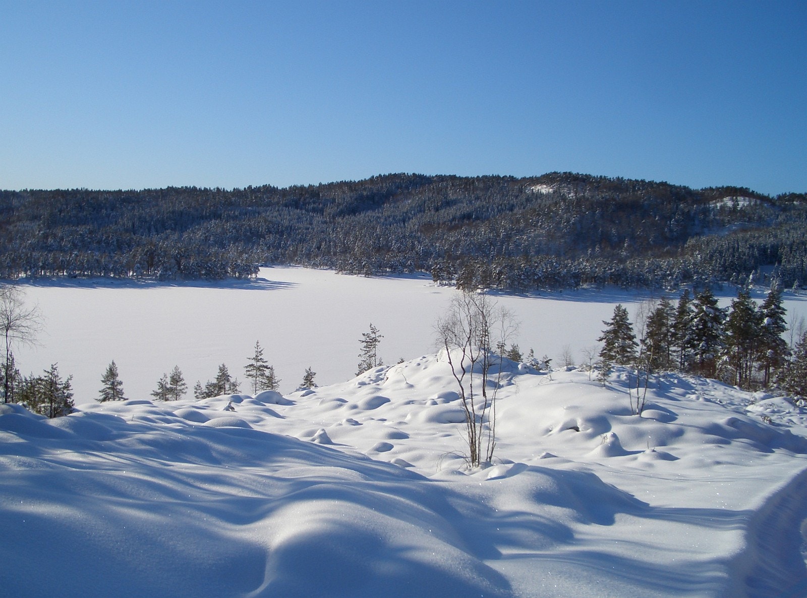 Utsikt fra tomtene Galleribilde