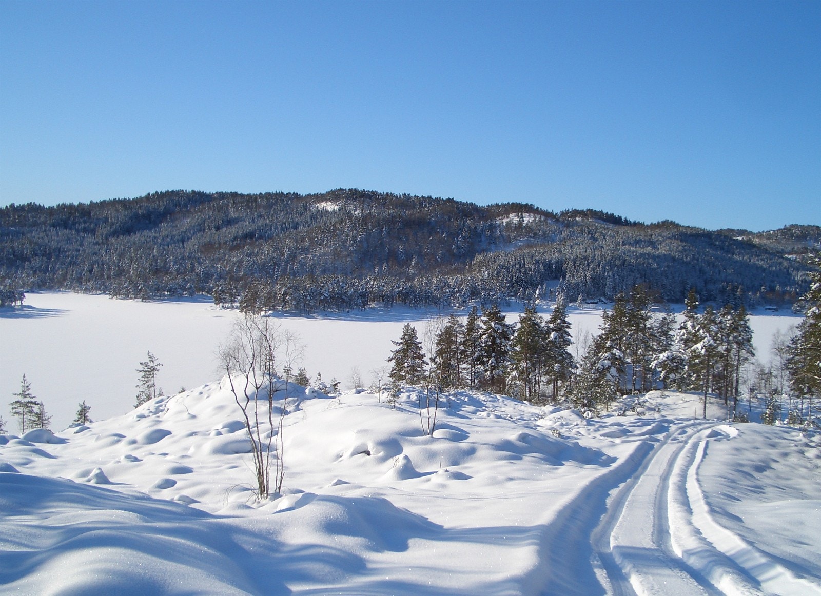 Utsikt fra tomtene Galleribilde