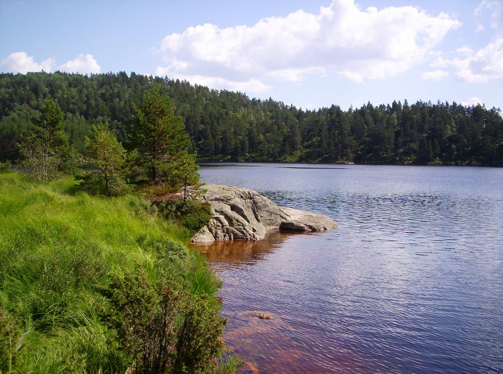 Høverslandsvannet Galleribilde