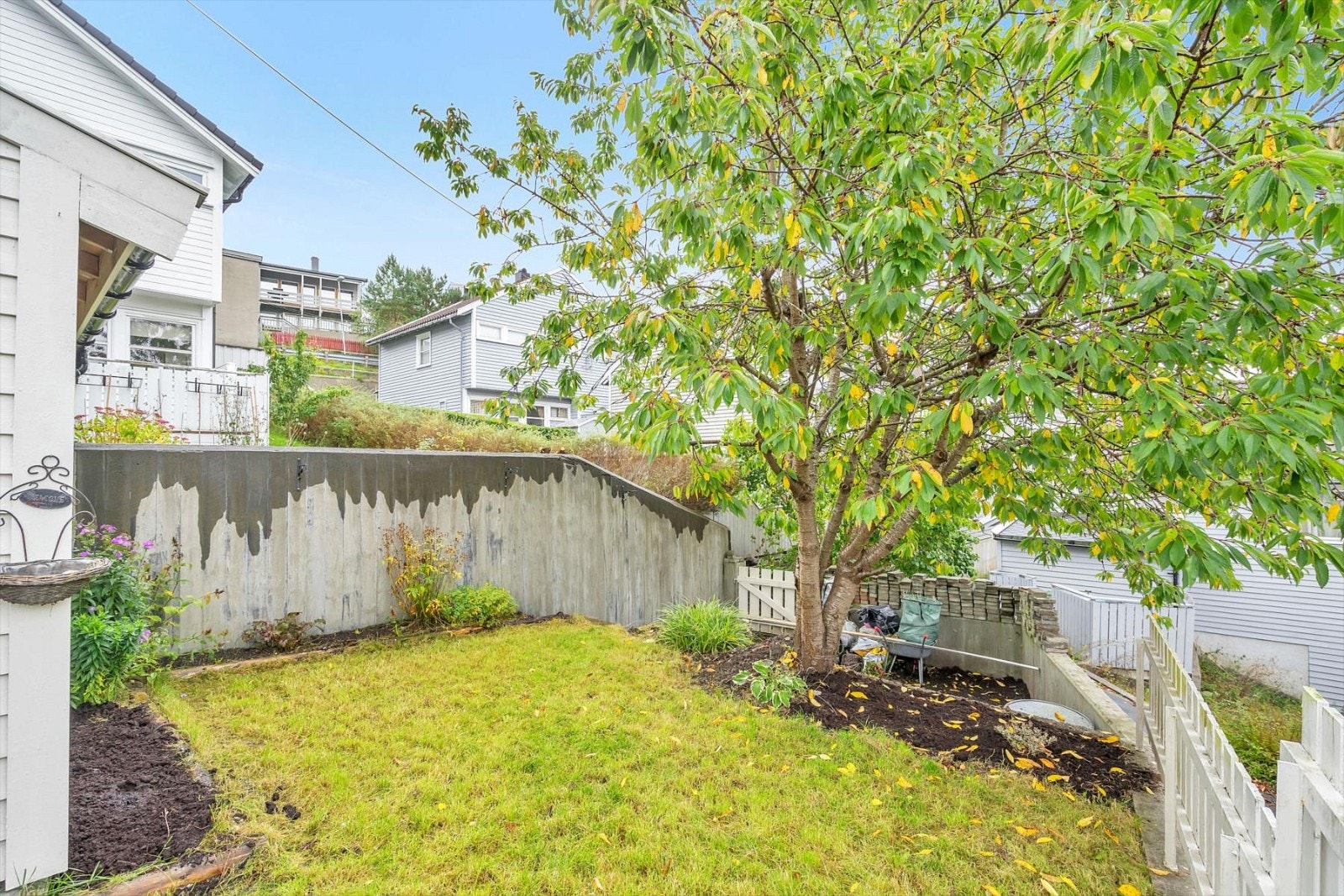 Koselig hageflekk med morelltre. Galleribilde