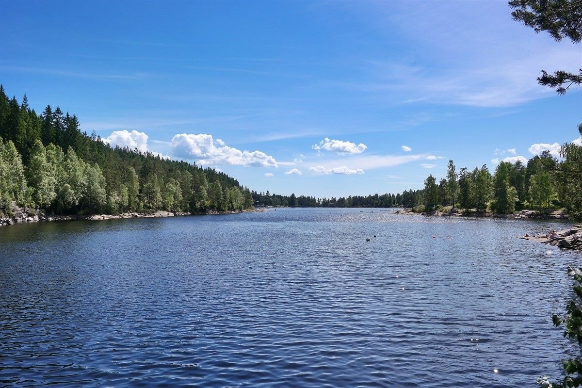 Lillomarka - Steinbruvannet. Galleribilde