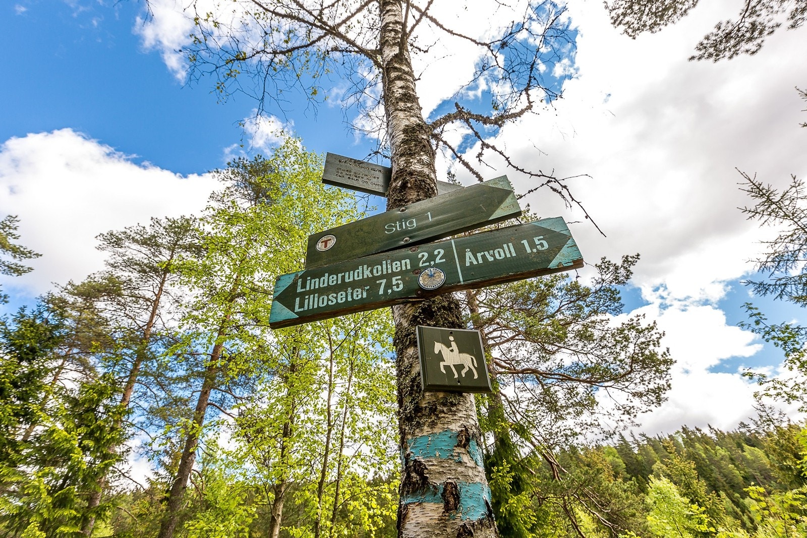 Kort vei til flotte turveier i Lillomarka Galleribilde