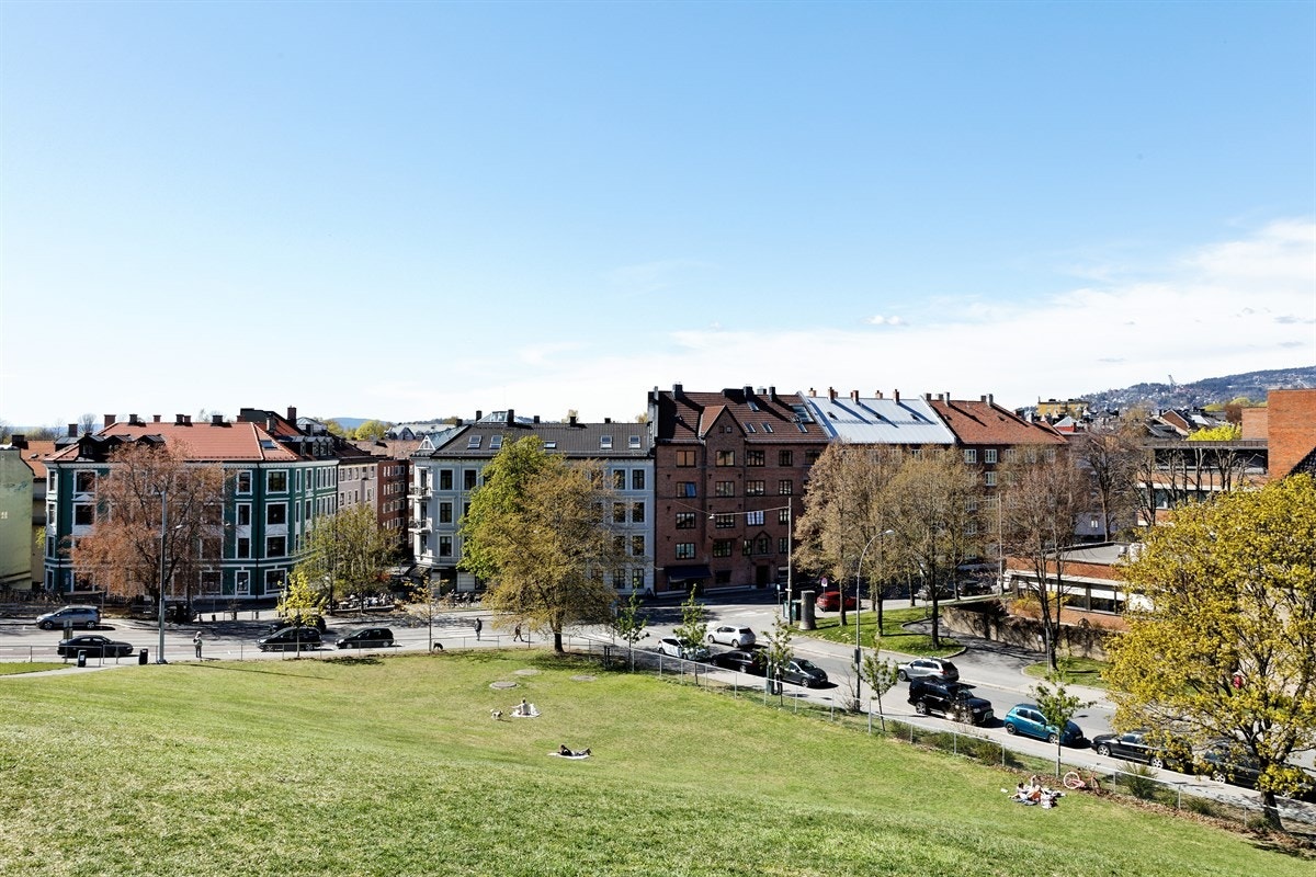 Idioten er en av mange parker i nærheten Galleribilde