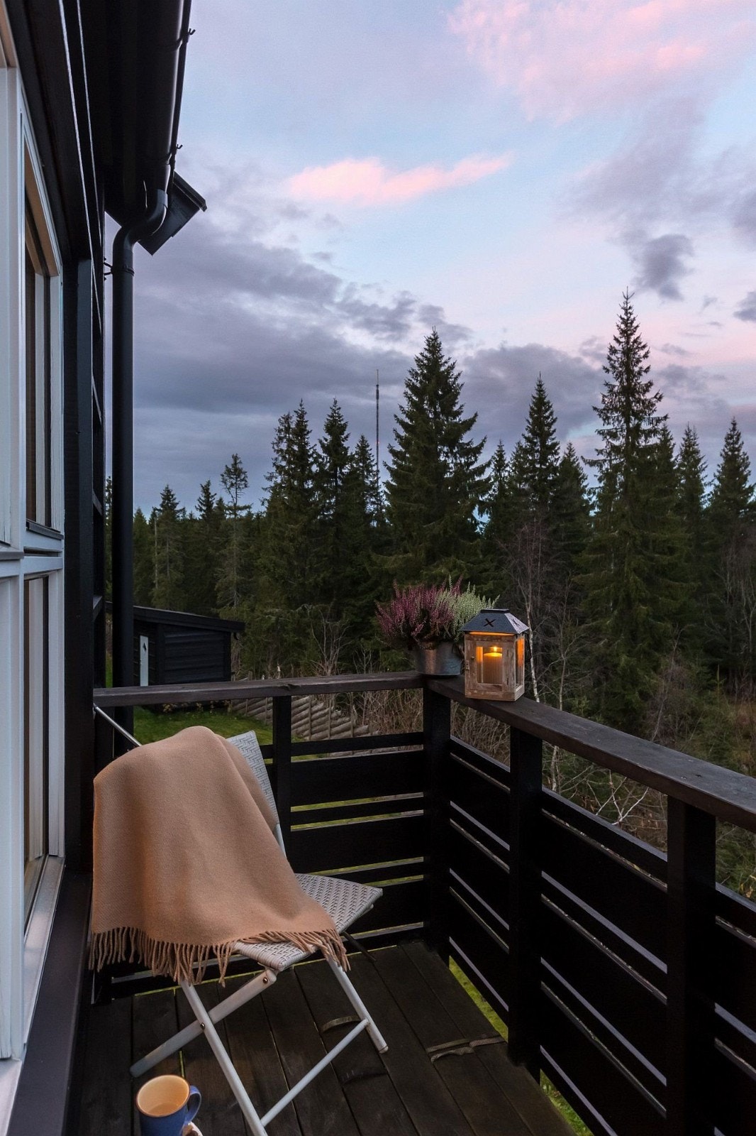 Her er verandaen. Noen ganger drikker mamma kaffe her om morgenen. Gjermund har klatret opp hit fra bakken. Galleribilde