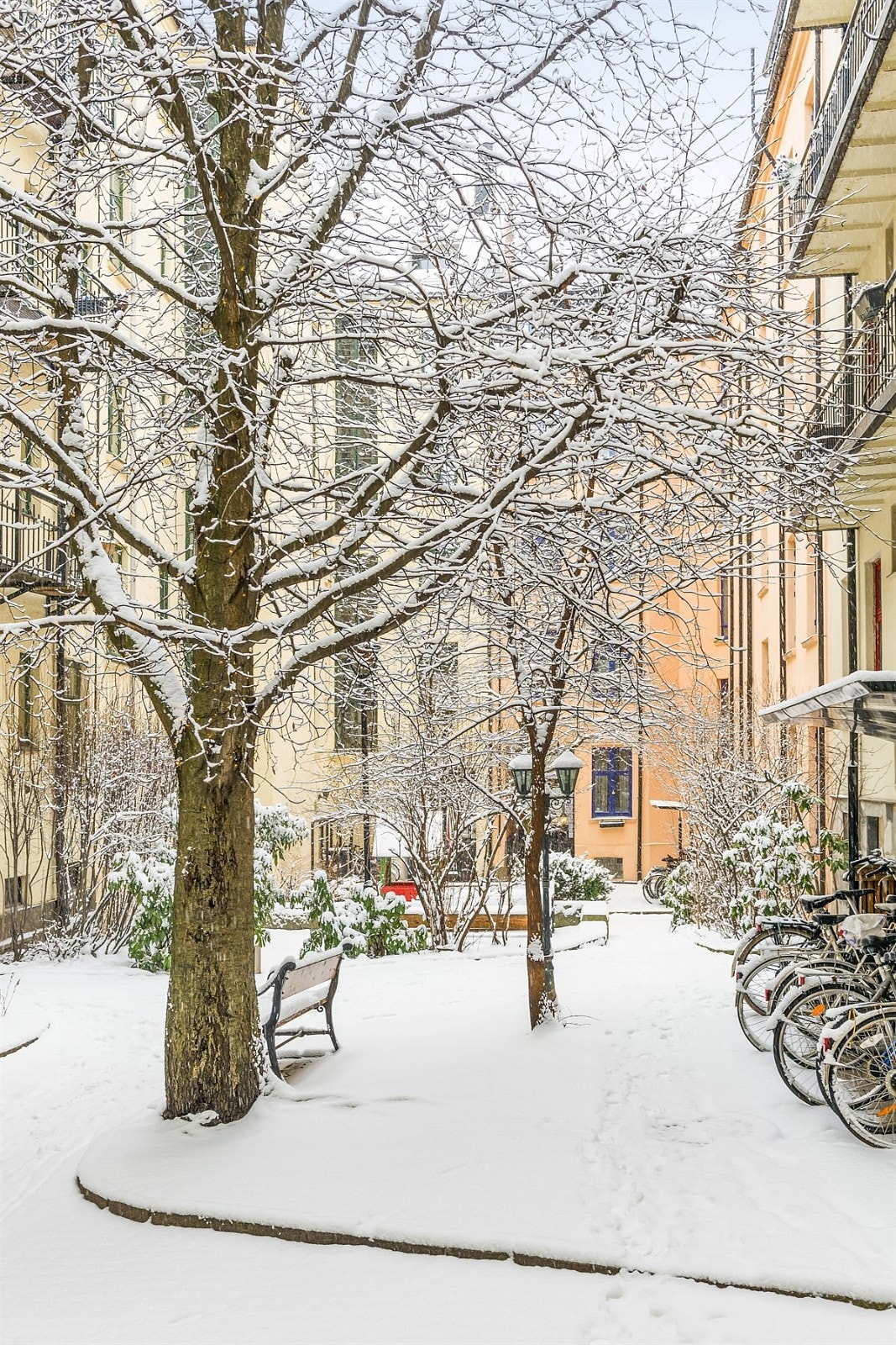 Bakgård Galleribilde