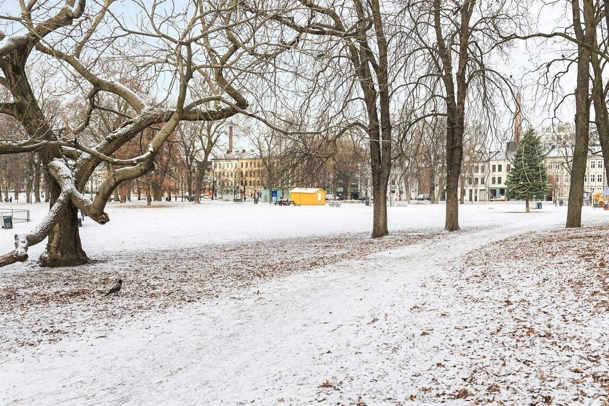 Sofienbergparken Galleribilde