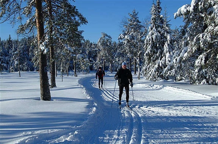 Langrennsløyper Galleribilde