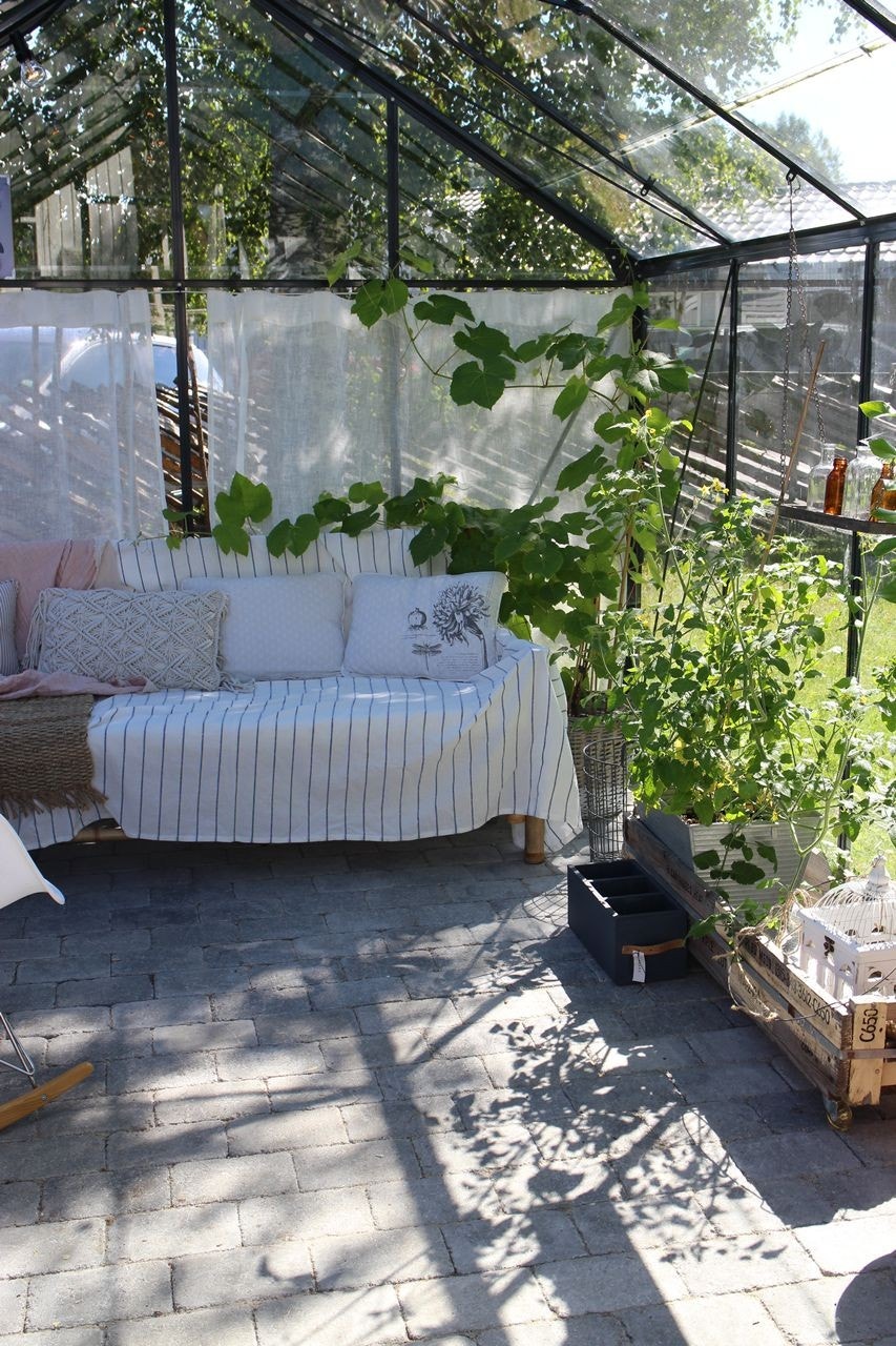 Det er plass til sittegruppe i drivhuset Galleribilde