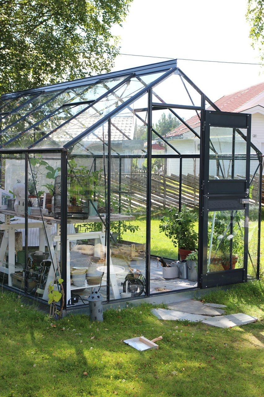 Sommer i hagen! Galleribilde